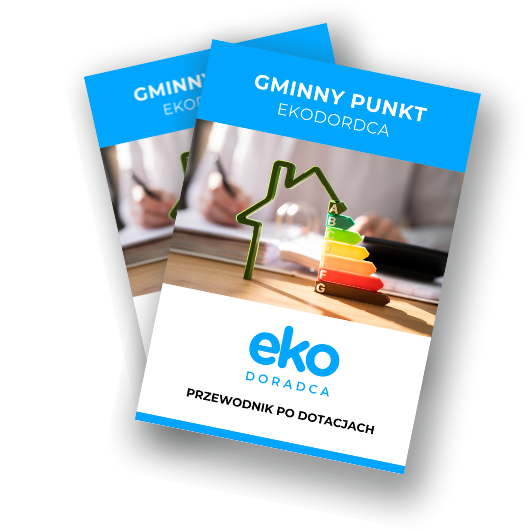 przewodnik po dotacjach